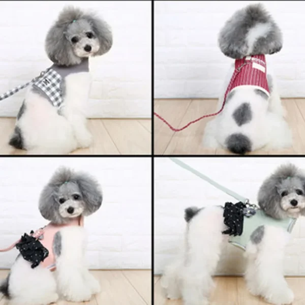 Adjustable Small Pet Dog and Cat Harness with Leash - Image 6