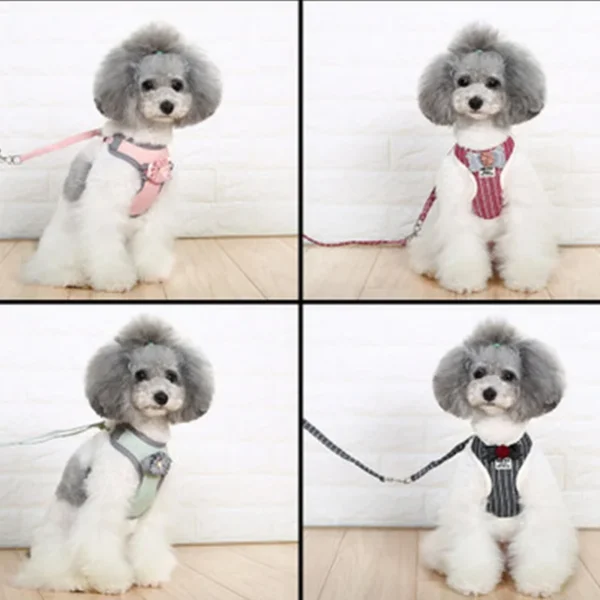 Adjustable Small Pet Dog and Cat Harness with Leash - Image 2