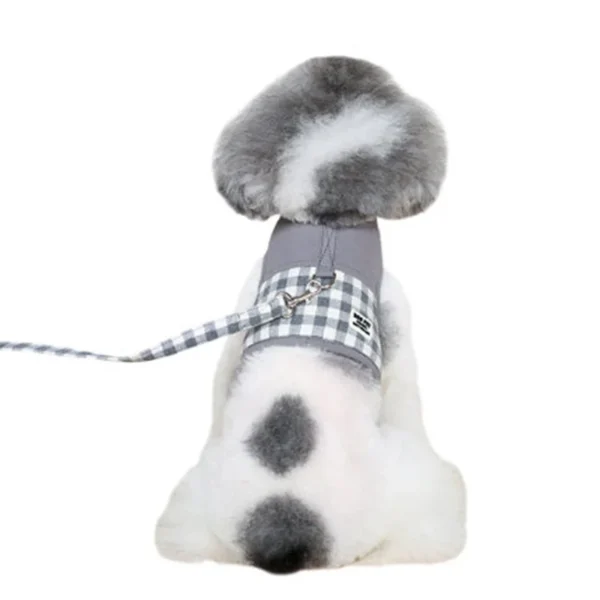 Adjustable Small Pet Dog and Cat Harness with Leash - Image 4