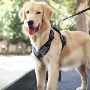 Dog Rope Chest Strap