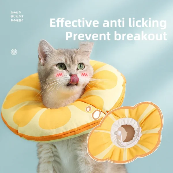 Cat Elizabethan Collar - Collar for Cats - Image 2