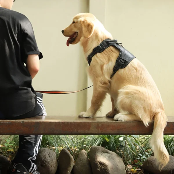 Dog Rope Chest Strap - Image 2
