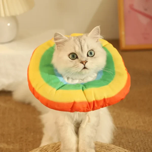 Cat Elizabethan Collar - Collar for Cats - Image 3