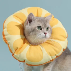 Cat Elizabethan Collar - Collar for Cats