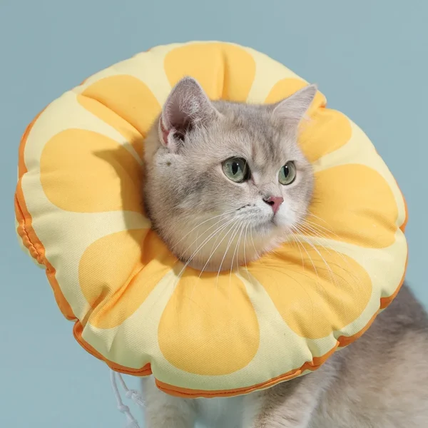 Cat Elizabethan Collar - Collar for Cats