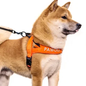 HOOPET-Pet-Cat-Dog-Safety-Traction-Belt-Harness-Collar-Two-Color-Leash-Reflective