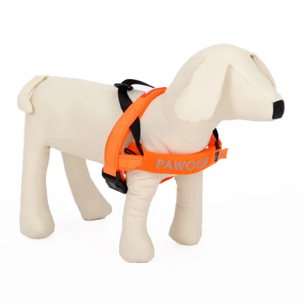 Dog Safety Traction Belt Harness Collar - Image 5