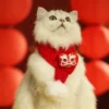 nian-animal-scarf