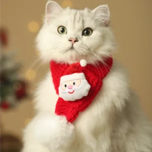 Christmas Pet Accessories