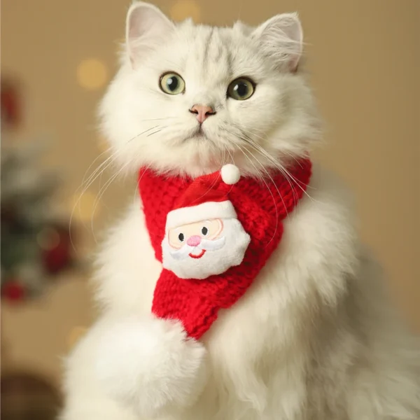Christmas Pet Accessories