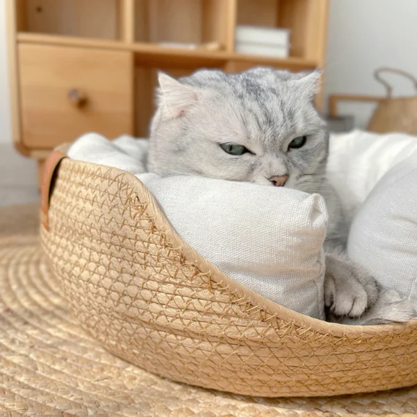 Four Seasons Pet Bed Kennel for Cat - Image 3