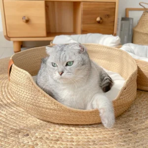 Four Seasons Pet Bed Kennel for Cat