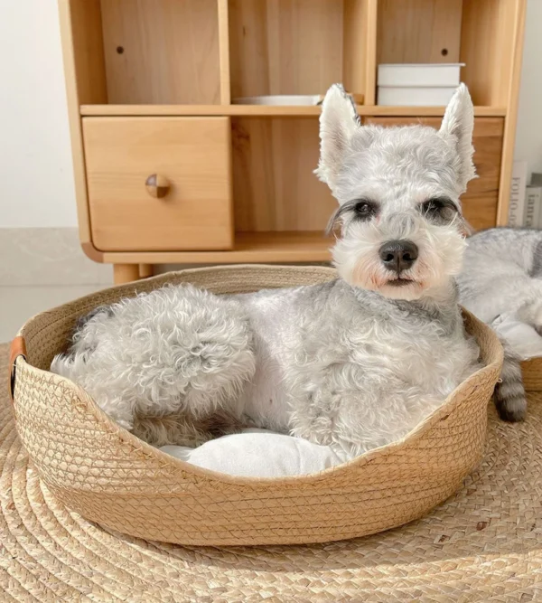 Four Seasons Pet Bed Kennel for Cat - Image 6