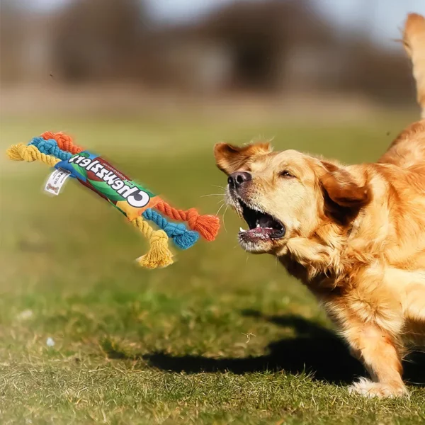 Dog Cleaning Teeth Braided Bone Rope - Image 4