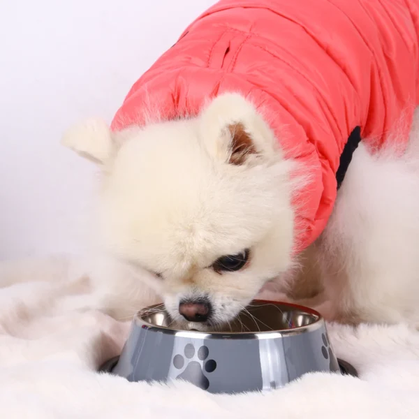 Stainless Steel Pet Bowl for Cats and Dogs - Image 3