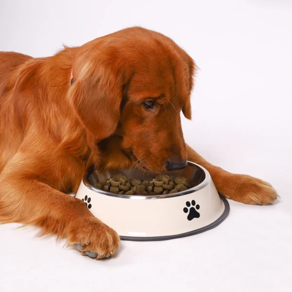 Stainless Steel Pet Bowl for Cats and Dogs - Image 6